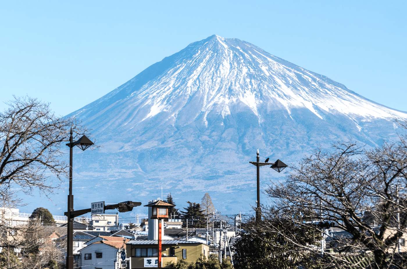 富士山と醸した酒